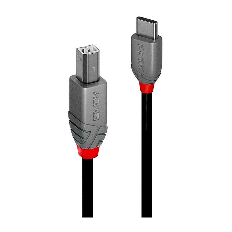 Lindy 2m USB 2.0 Type C to B Lindy