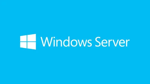 MSF LIC SVR-2019-OEM-1CLT-CAL Microsoft